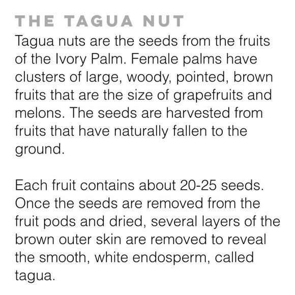 Organic tagua turquoise earrings. New with tags - Picture 3 of 4